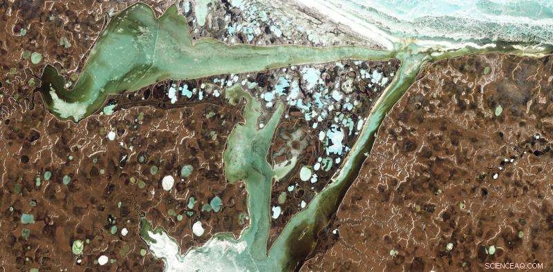 Harnessing Gas Industry Innovations to Combat Climate Change in Siberia