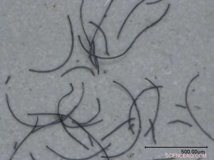 How Your Washing Machine Releases Microplastics into the Environment