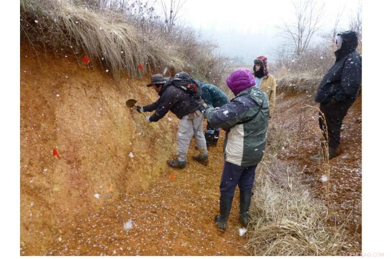 New Study Confirms Past Major Earthquakes in Eastern Tennessee Seismic Zone