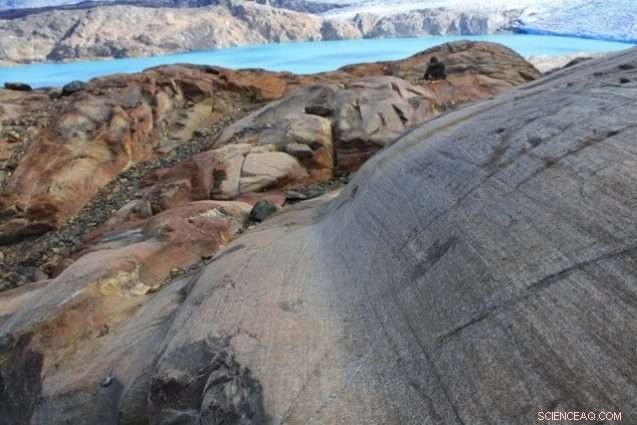 How Iron Chemistry Drives Ocean Carbon Sequestration