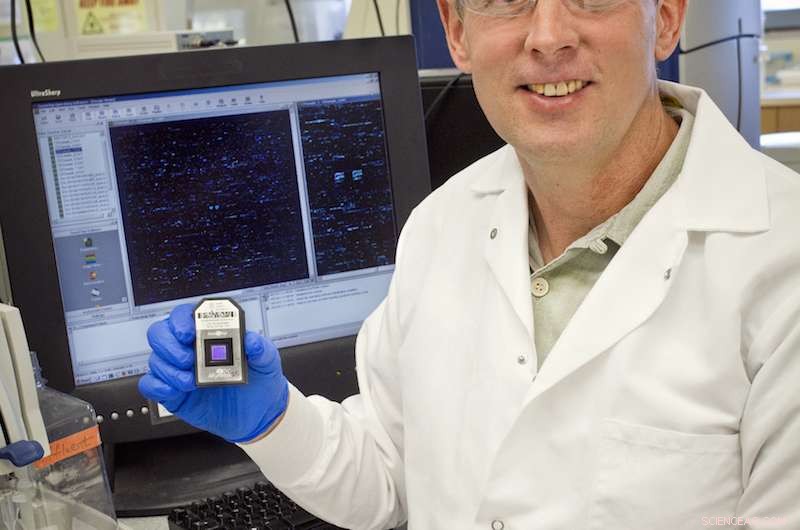 Unraveling the Deepwater Horizon Oil Plume: How Microbes Cleaned Up the Spill