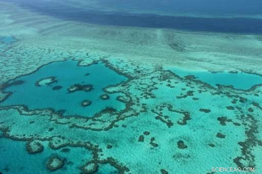 Great Barrier Reef: $42B Asset Too Big to Fail – Study Reveals Economic Impact