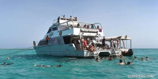 Great Barrier Reef: $42B Asset Too Big to Fail – Study Reveals Economic Impact