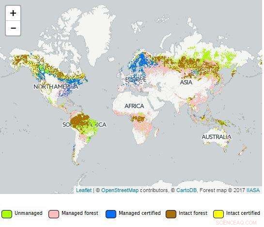 Ensuring Forest Sustainability: The Power of Certification Mapping