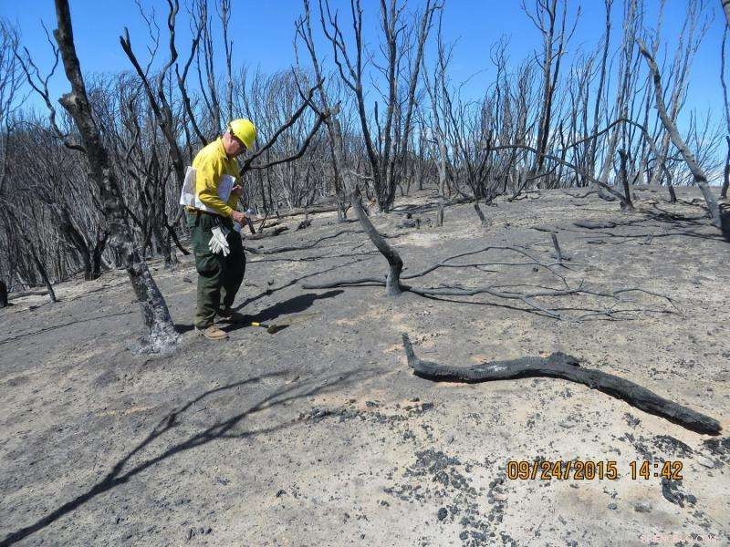 NASA‑Supported Tool Accelerates Wildfire Recovery, Boosting Response Times