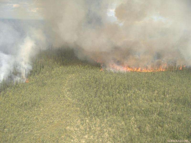 NASA Study Links Lightning to Surge in Boreal Forest Fires