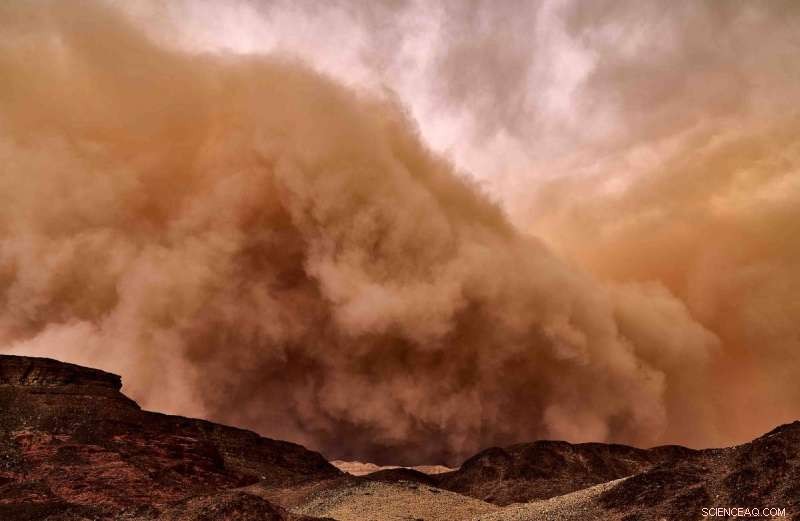 Exploring the Microbiome of Israel’s Dust Storms