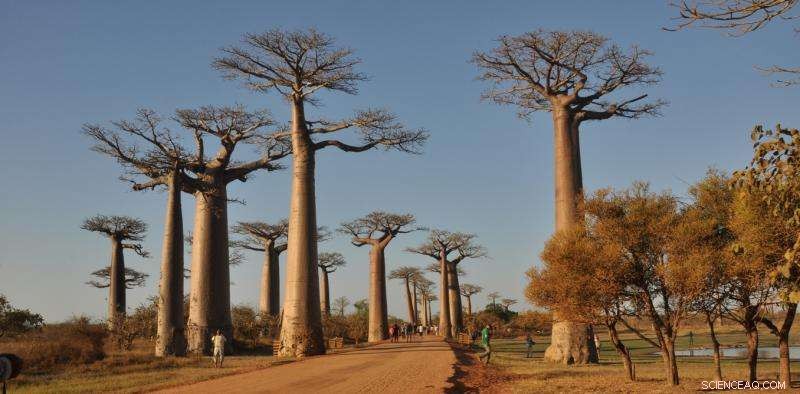 New Geological Map Illuminates 500‑Million‑Year Gap in Earth’s History