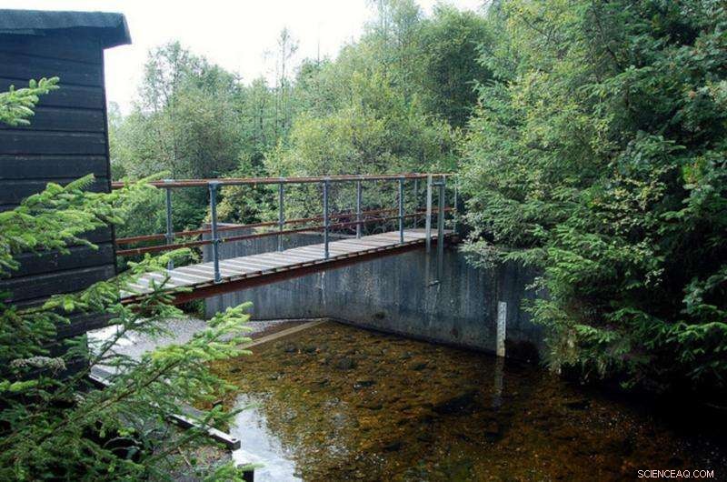 Explaining the Decline of Global Floods Amid Rising Extreme Rainfall