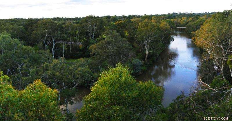 Insecticide Poisoning: The Hidden Threat to Rivers and Wetlands