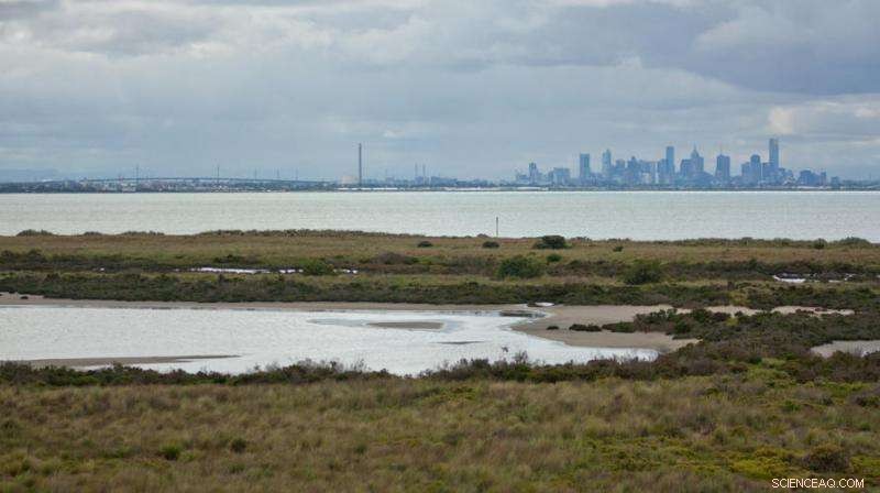 Insecticide Poisoning: The Hidden Threat to Rivers and Wetlands