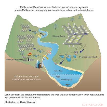 Insecticide Poisoning: The Hidden Threat to Rivers and Wetlands