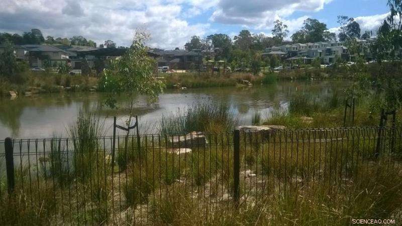 Insecticide Poisoning: The Hidden Threat to Rivers and Wetlands