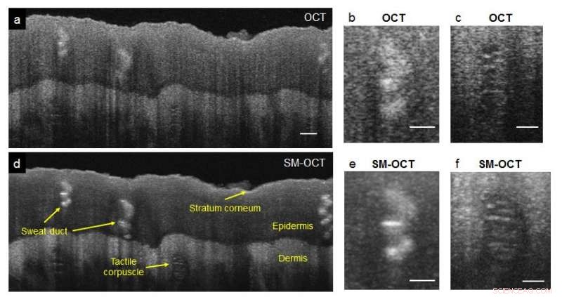 How Climate Change Alters Antarctica s Biodiversity and Habitats