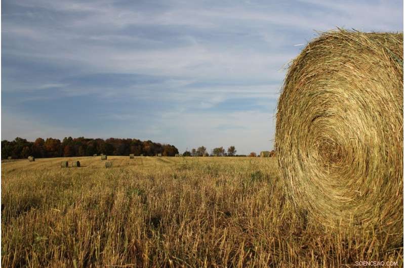 Optimizing Cellulosic Biofuels for Significant Environmental Gains