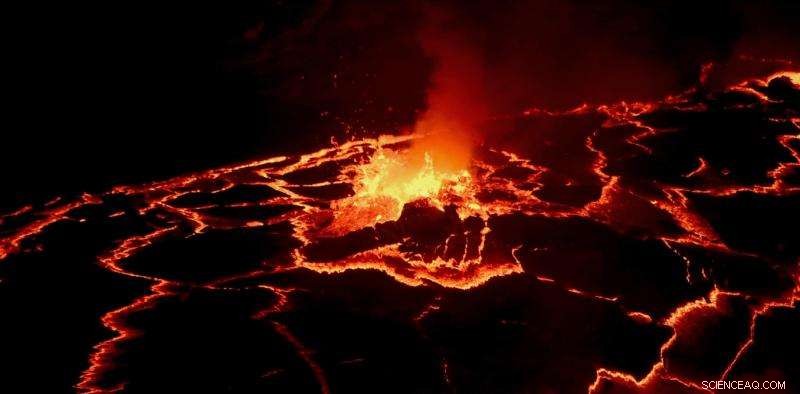 Five Major Mass Extinctions: Lessons for Today s Planet