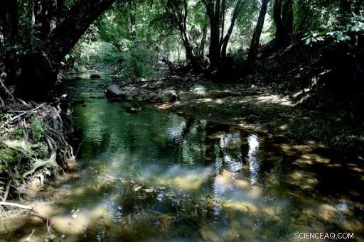 Lebanon Plans Dam on Fault Line Amid Resident Concerns