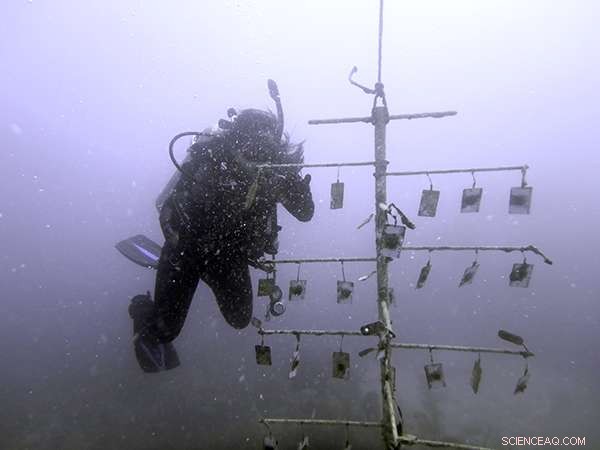 Marine Scientists and Astronauts Build the World s Deepest Coral Nursery
