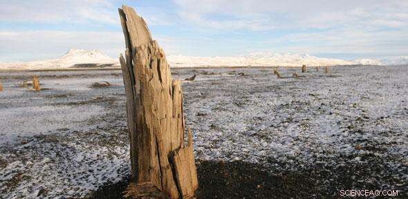 Tree Rings Reveal Icelandic Volcano s Eruption Occurred 50 Years Before Human Settlement