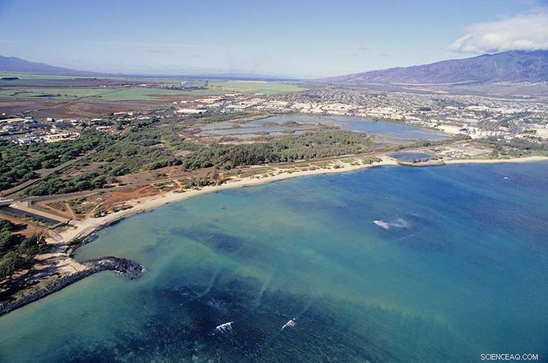 Protecting Coastal Ecosystems for Tomorrow: Insights from Dr. Ignacio Rodriguez‑Iturbe
