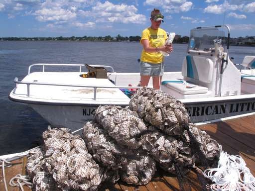Oyster Wranglers Monitor Rivers to Find Healthy Shellfish Populations