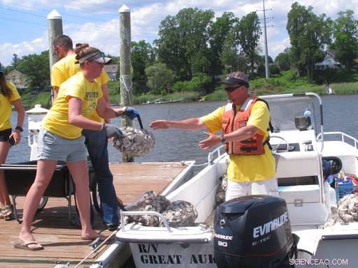 Oyster Wranglers Monitor Rivers to Find Healthy Shellfish Populations