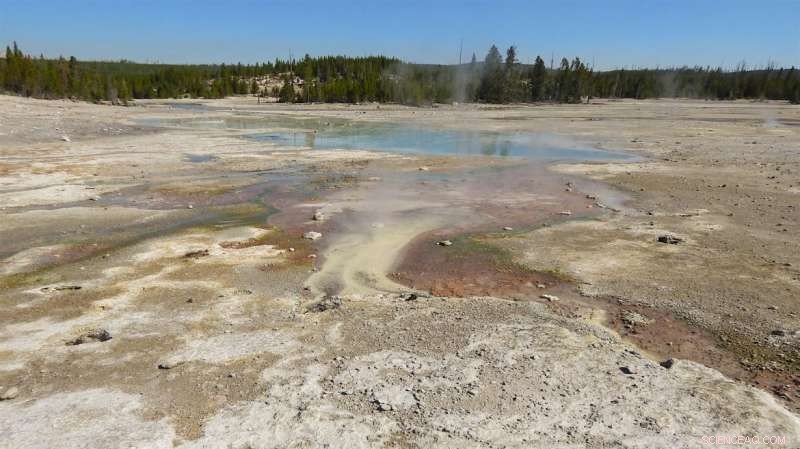 Yellowstone Microbes Prefer Simple Nutrients: A New Geochemistry-Biology Insight
