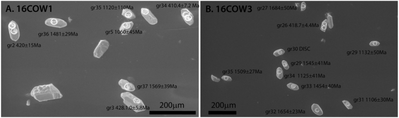 Study Reassesses Claim: Oldest Land-Dwelling Air-Breather May Be Younger Than Thought