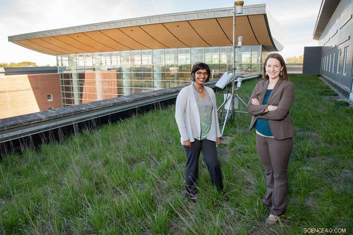 Engineers Develop Reliable Method to Assess Green Roof Performance