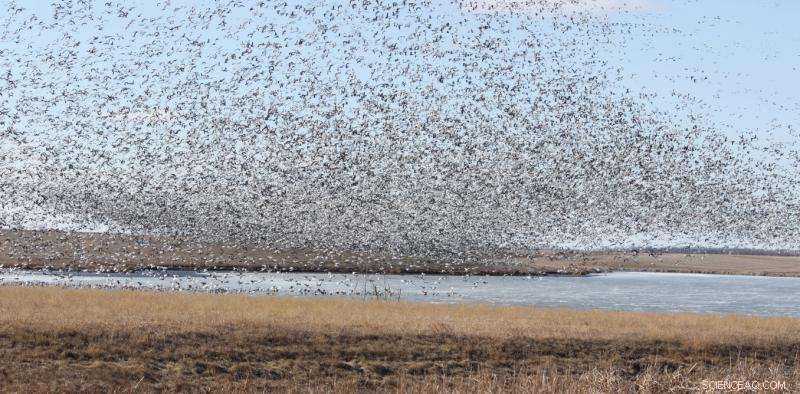 Assessing Scott Pruitt’s Argument for Repealing the Clean Water Rule