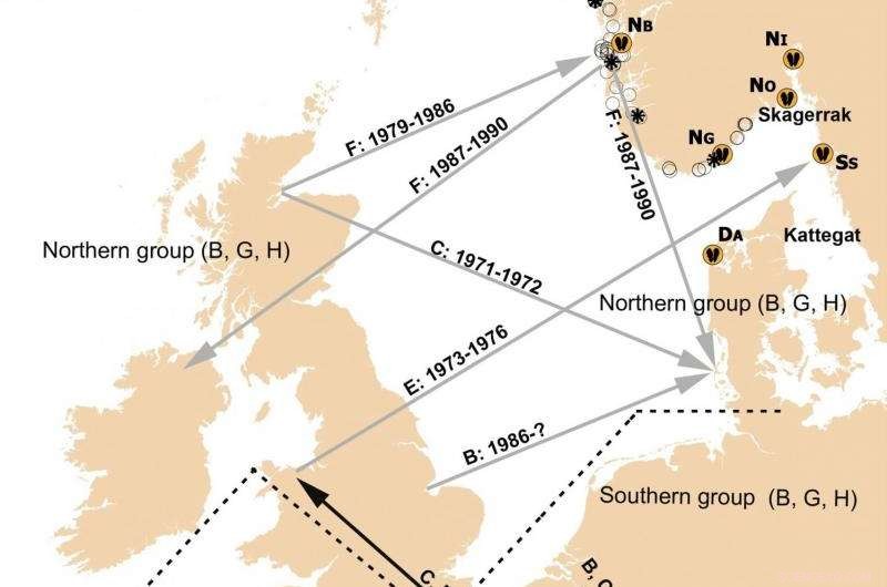 Unlocking the Genetics of the Pacific Oyster: Insights from DNA Analysis