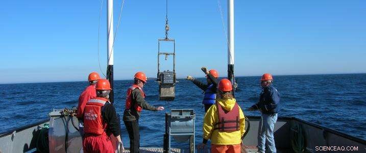 Assessing Seafloor Biodiversity for Sustainable Offshore Wind and Wave Energy Projects