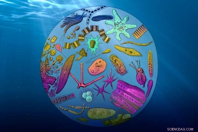 Rising Temperatures Reduce Ocean s Ability to Sequester Carbon