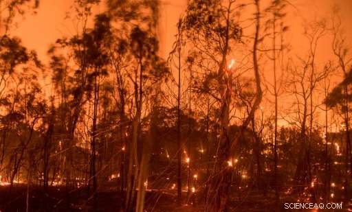 California Wildfires Force Thousands to Evacuate Amid Record Heat
