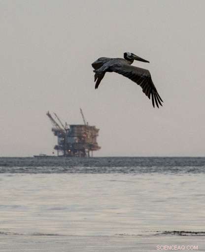 G20 Climate Agreement: A Win, But What’s the Price?