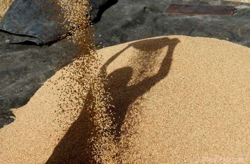 FAO Forecasts Significant Slowdown in Global Food Demand