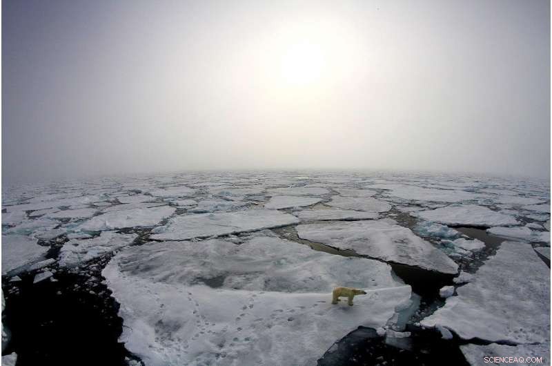 Arctic Winter Warming Events Rise: More Frequent, Longer-Lasting