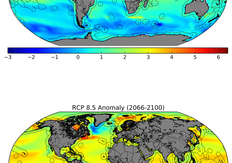 Rising Sea Temperatures Threaten Fisheries and Vulnerable Communities in Low‑Income Nations