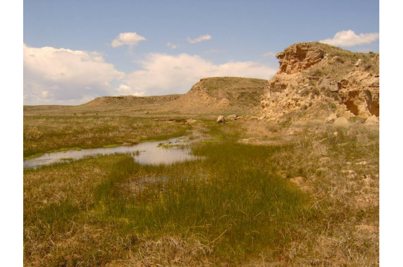 Groundwater Extraction Drains Great Plains Streams, Endangering Fish Species