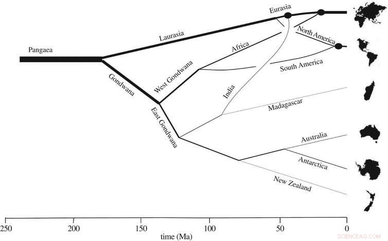 Decoding Life in Space: Insights from Biological Clocks and Geological Records