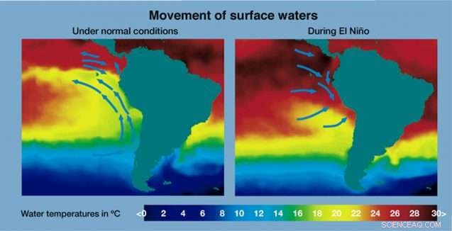 What the Climate Forecasts Predict: Insights & Credibility