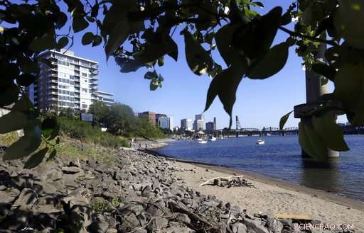 Portland Revives Willamette River, Encourages Residents to Swim
