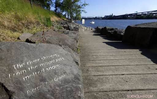 Portland Revives Willamette River, Encourages Residents to Swim