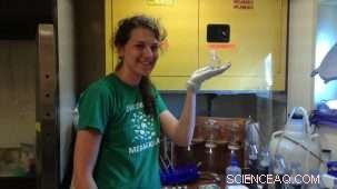 Unveiling the Ocean’s Mighty Microorganisms