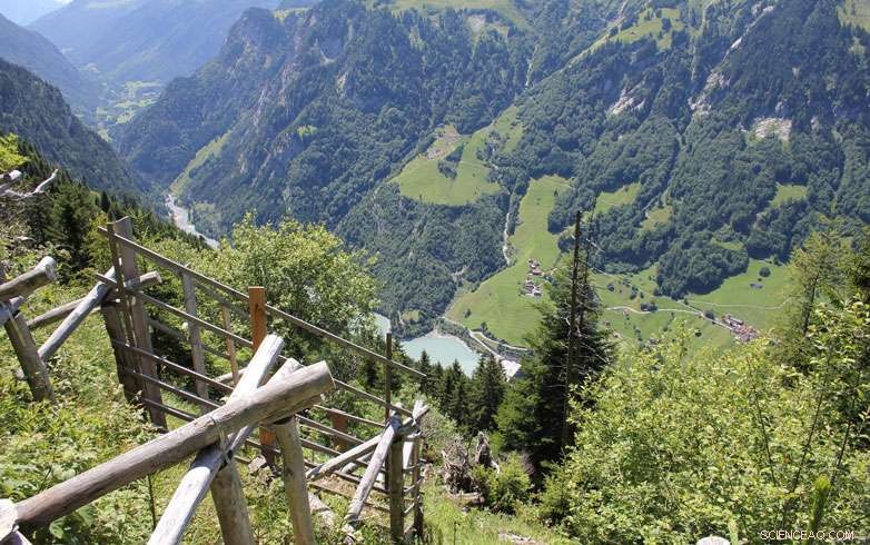 Mountain Forests Thrive Without Humans, Yet We Rely on Them