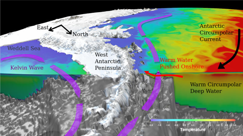 Intensifying Winds Accelerate West Antarctic Ice Shelf Melting