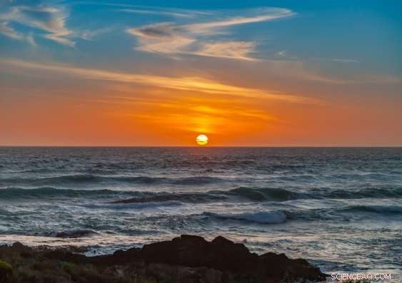 Record-Breaking Marine Heatwave Devastates Tasmania s Fisheries