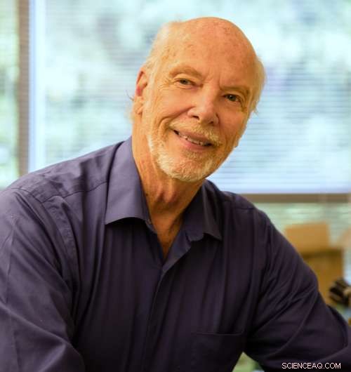 Did Life Originate on Land Rather Than in the Sea?