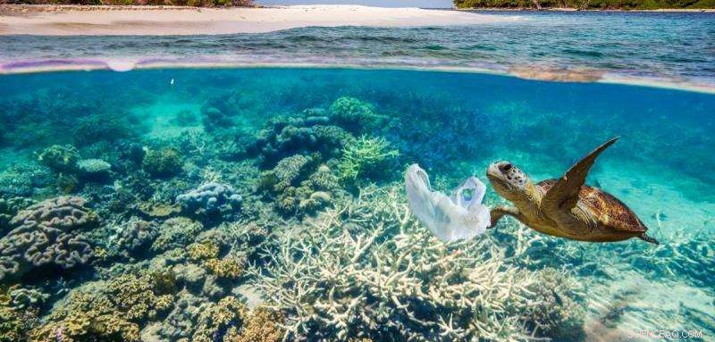 Scientists Call for Immediate New Regulations to Safeguard Global Oceans