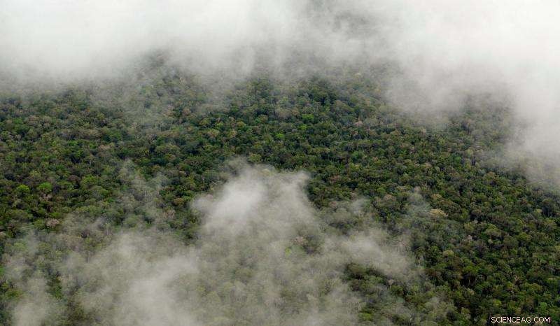 Study Reveals Amazon Rainforest Drives Its Own Rainy Season